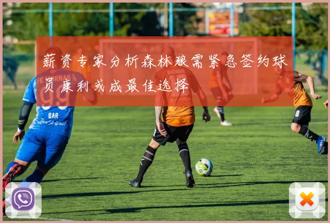 薪资专家分析森林狼需紧急签约球员康利或成最佳选择